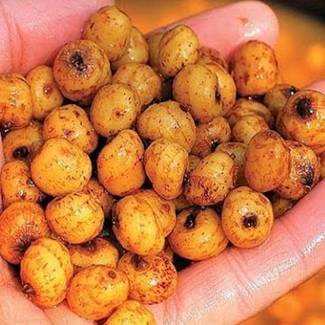 ЗЕРНОВІ ПРИКОРМКИ